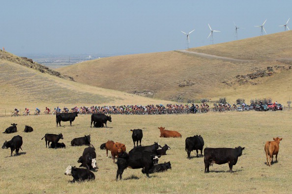 getty_beef20130214