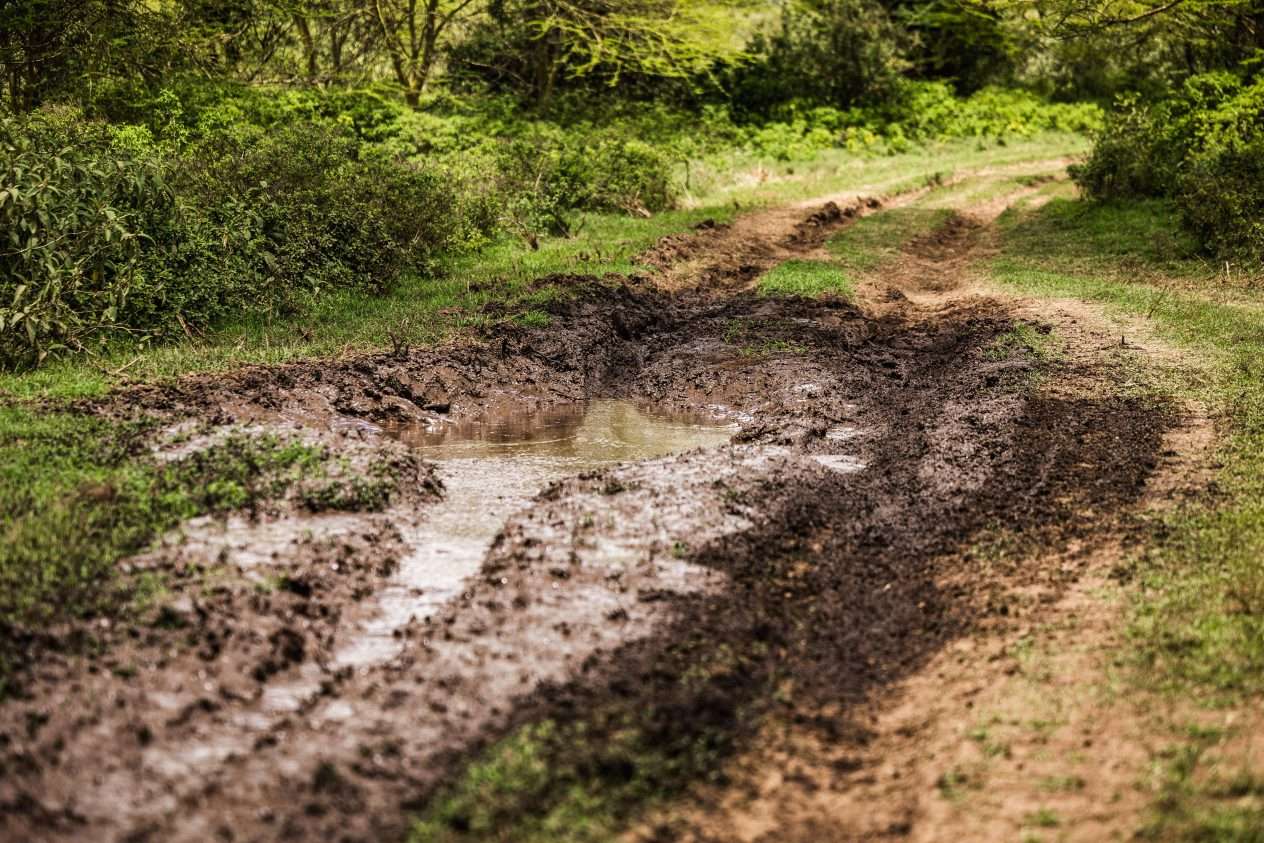 Kenia ralli 2026: Safari-ralli ajetaan haastavissa olosuhteissa.