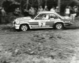 aop_toivonenhenri1982