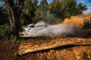 aop_msport_29082026